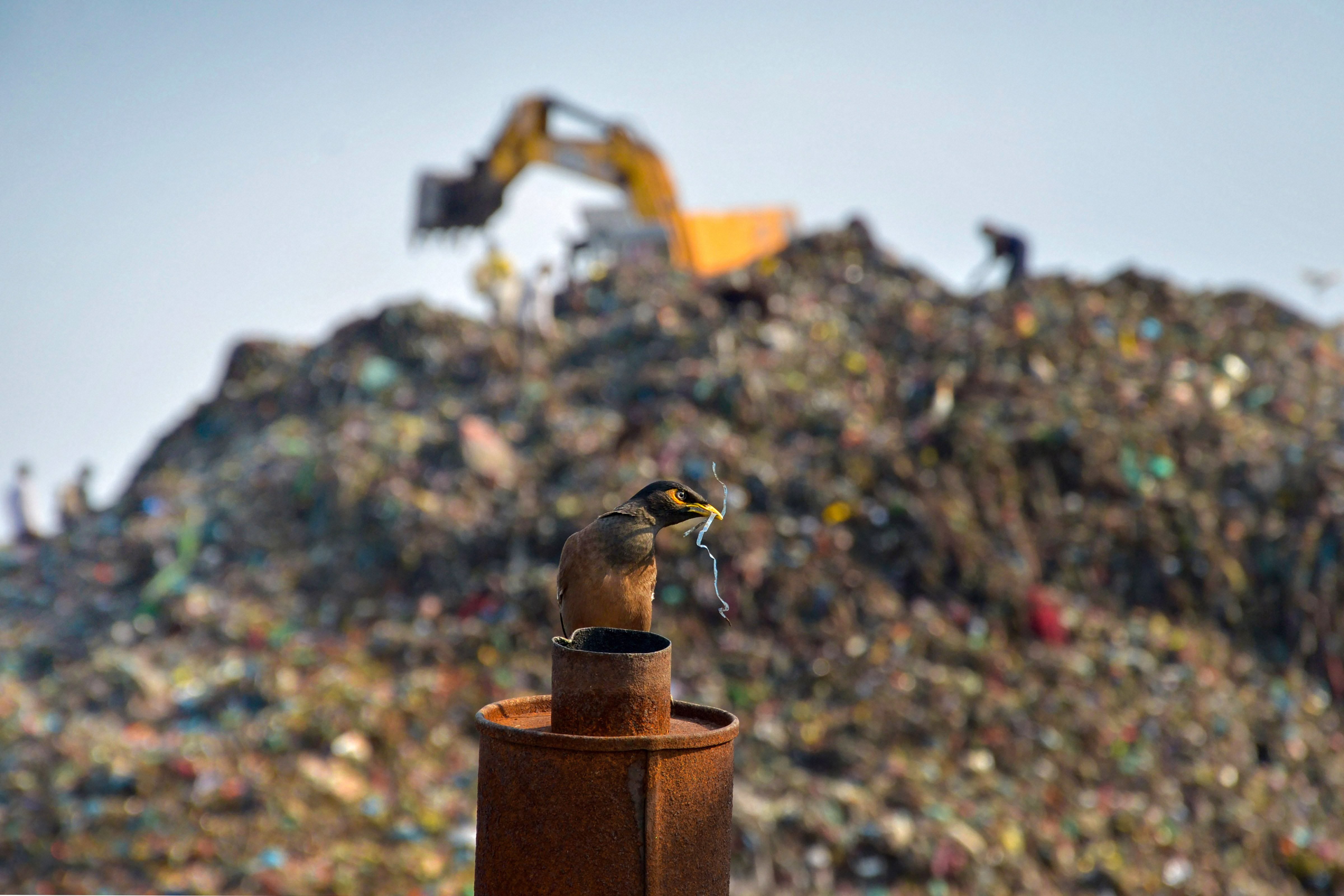 This Tamil Nadu City Ranks Dirtiest In India &mdash; Check List Of The Worst & Best