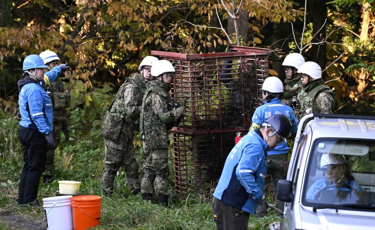 Record Bear Attacks in Japan: Climate Change, Population Growth, and Rural Challenges Converge