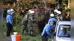 A Daily Occurrence: Japan Struggles With Spike In Bear Attacks
