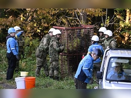 A Daily Occurrence: Japan Struggles With Spike In Bear Attacks