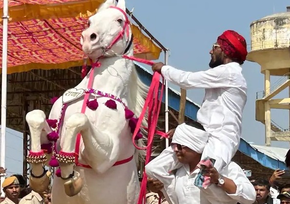 पुष्कर मेले में लाखों में बिक रहे जानवर, सरकार ने खोला GST कैंप, करोड़ों की कीमत वाले घोड़ों का राज भी खुला