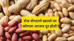 Healthy Diet: रोज मूठभर शेंगदाणे खा आणि 'या' गंभीर आजारांना ठेवा दूर! 3 व्हिटॅमिन्स'मुळे मिळतात जबरदस्त फायदे