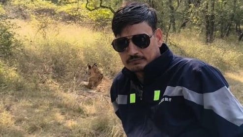 रणथंभौर में बाघ के साथ सेल्फी लेने पर फंसा युवक, सोशल मीडिया पर पोस्ट डालते ही मचा बवाल