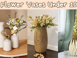 Flower Vase Under 1000: इन यूनीक वास के साथ अपने घर को दें मॉडर्न और अट्रैक्टिव लुक, कीमत ₹1000 से कम