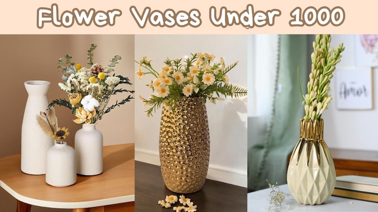 Flower Vase Under 1000: इन यूनीक वास के साथ अपने घर को दें मॉडर्न और अट्रैक्टिव लुक, कीमत ₹1000 से कम Flower Vase Under 1000: इन यूनीक वास के साथ अपने घर को दें मॉडर्न और अट्रैक्टिव लुक, कीमत ₹1000 से कम