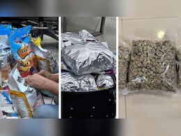 मुंबई हवाई अड्डे पर 42 करोड़ की हाइड्रोपोनिक वीड जब्त, 3 दिन में 100 करोड़ से अधिक की मिली ड्रग्स