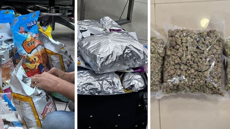 मुंबई हवाई अड्डे पर 42 करोड़ की हाइड्रोपोनिक वीड जब्त, 3 दिन में 100 करोड़ से अधिक की मिली ड्रग्स