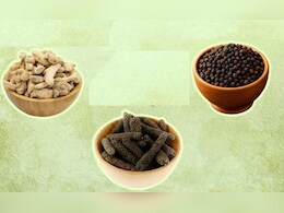 एक-दो नहीं 100 मर्ज की है दवा त्रिकटु, आयुर्वेद भी मानता है इस औषधि का लोहा, जानें सेवन करने का सही तरीका