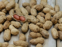 ठंड में मूंगफली खाने से क्या होता है? मूंगफली की तासीर गर्म होती है या ठंडी