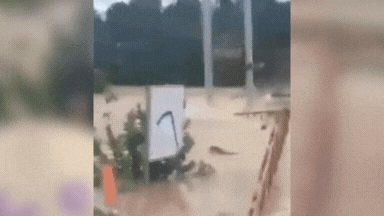 तिनके की तरह सैलाब में समा गया पुल, देखते रह गए लोग, वियतनाम में बाढ़ की विनाशलीला का ये खौफनाक VIDEO