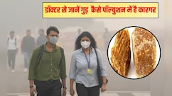 प्रदूषण खांसी-हांफना का जड़ से कर देगा नाश गुड़, बस 1 चीज के साथ खाएं, डॉक्टर सलीम जैदी ने बताया तरीका