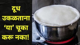 Kitchen Tips For Boiling Milk : दूध उकळताना 'या' 3 गोष्टी कायम लक्षात ठेवा! गॅसवर दूध अजिबात उतू जाणार नाही
