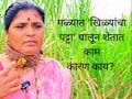 Pune News : शेतकऱ्यांच्या गळ्यात 'खिळ्यांचा पट्टा'; नव्या बचावाच्या 'ढाली'चं कारण काय?  