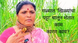 Pune News : शेतकऱ्यांच्या गळ्यात 'खिळ्यांचा पट्टा'; नव्या बचावाच्या 'ढाली'चं कारण काय? &nbsp;