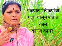 Pune News : शेतकऱ्यांच्या गळ्यात 'खिळ्यांचा पट्टा'; नव्या बचावाच्या 'ढाली'चं कारण काय?  
