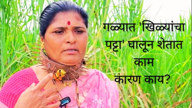 Pune News : शेतकऱ्यांच्या गळ्यात 'खिळ्यांचा पट्टा'; नव्या बचावाच्या 'ढाली'चं कारण काय?  