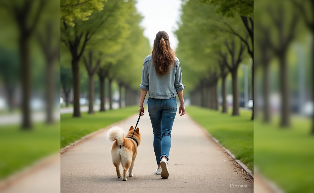 पालतू कुत्ते के साथ वॉक पर निकली महिला के साथ शख्स ने की गंदी हरकत, फोन भी लूटा, बेंगलुरु का मामला
