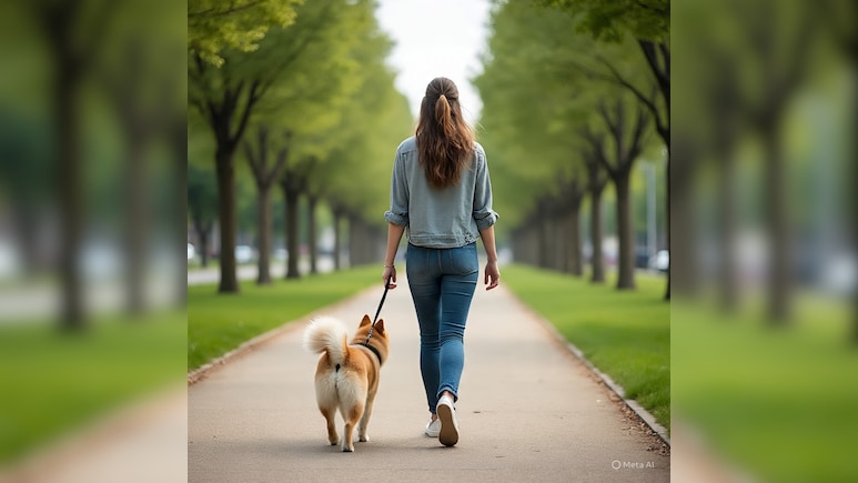 पालतू कुत्ते के साथ वॉक पर निकली महिला के साथ शख्स ने की गंदी हरकत, फोन भी लूटा, बेंगलुरु का मामला