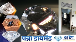 Panna Diamond GI Tag: पन्ना में कैसे मिलता है हीरा, कौन ढूंढ सकता, कैसे तय होती कीमत? जानें पूरी प्रक्रिया
