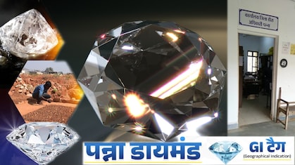 Panna Diamond GI Tag: पन्ना में कैसे मिलता है हीरा? कौन ढूंढ सकता? कैसे तय होती कीमत? जानें पूरी प्रक्रिया