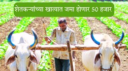 Farmers News:'ही' पिकं घ्या अन् खात्यात 50 हजार मिळवा; 'लाडक्या शेतकऱ्यां'साठी सरकारकडून नव्या उपक्रमाची घोषणा