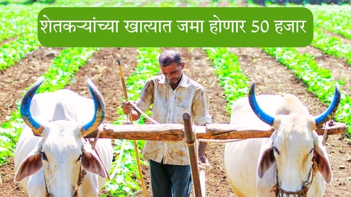 Farmers News:'ही' पिकं घ्या अन् खात्यात 50 हजार मिळवा; 'लाडक्या शेतकऱ्यां'साठी सरकारकडून नव्या उपक्रमाची घोषणा Farmers News:'ही' पिकं घ्या अन् खात्यात 50 हजार मिळवा; 'लाडक्या शेतकऱ्यां'साठी सरकारकडून नव्या उपक्रमाची घोषणा