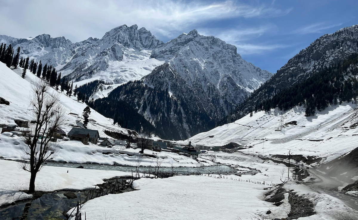 Latest and Breaking News on NDTV