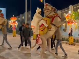 दो पैरों पर खड़ी हो दूल्हे को लेकर भागी घोड़ी, देखते रहे गये बाराती, Video देख बोले लोग- जबरदस्त एंट्री है!