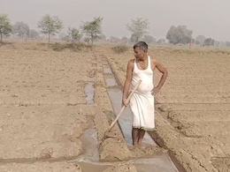 Rajasthan: खरीफ में घाटा झेलने के बाद रबी से जागी की उम्मीद, खेतों में लहराई सरसों, गेहूं और आलू की फसल