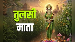 पेड़ के रूप में क्यों पूजी जाती हैं तुलसी माता, जानें इसकी कथा और धार्मिक महत्व