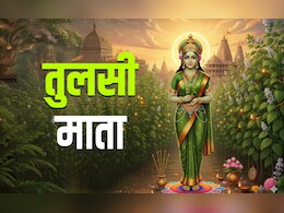 Tulsi Vivah 2025: पेड़ के रूप में क्यों पूजी जाती हैं तुलसी माता, जानें इसकी कथा और धार्मिक महत्व