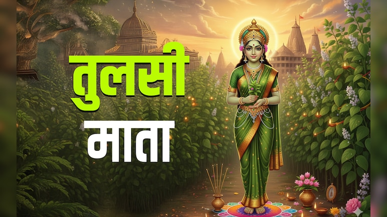 Tulsi Vivah 2025: पेड़ के रूप में क्यों पूजी जाती हैं तुलसी माता, जानें इसकी कथा और धार्मिक महत्व Tulsi Vivah 2025: पेड़ के रूप में क्यों पूजी जाती हैं तुलसी माता, जानें इसकी कथा और धार्मिक महत्व