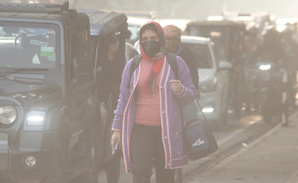 Latest and Breaking News on NDTV