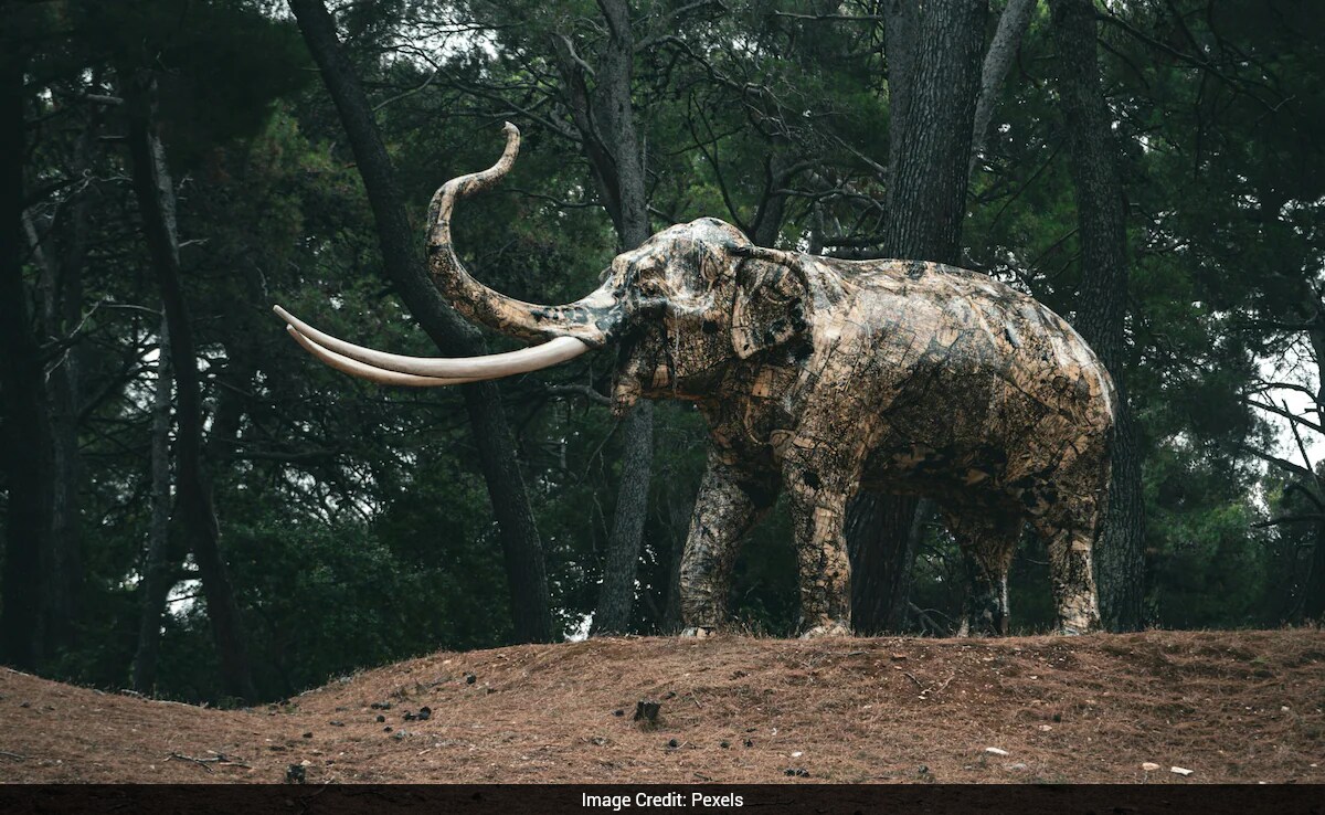 40,000-Year-Old RNA Found in Frozen Woolly Mammoth