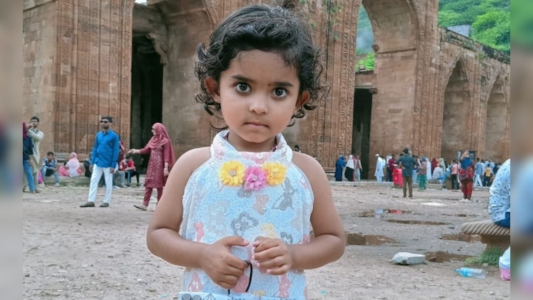 आवारा कुत्तों का कहर: नीमच में 4 साल की बच्ची पर जानलेवा हमला, ICU में भर्ती