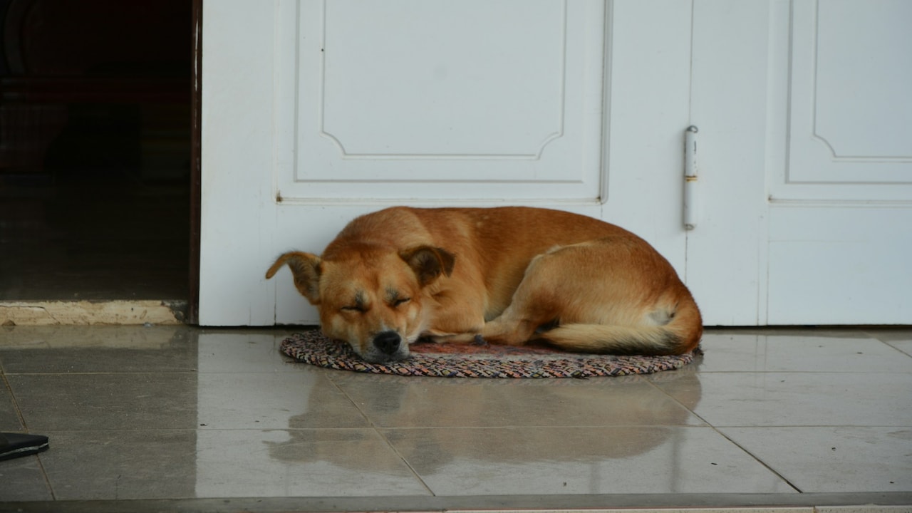 Go with colours that complement the overall interior theme of your housel Go with colours that complement the overall interior theme of your housel