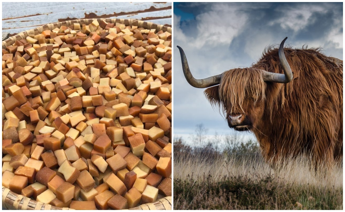 अरुणाचल की सदियों पुरानी पहाड़ी पारंपरिक ‘याक चुरपी’ को मिला GI टैग