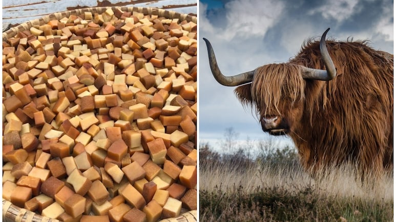 अरुणाचल की सदियों पुरानी पहाड़ी पारंपरिक ‘याक चुरपी’ को मिला GI टैग