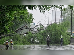 123 Dead In Heavy Rain Due To Cyclone Ditwah In Sri Lanka