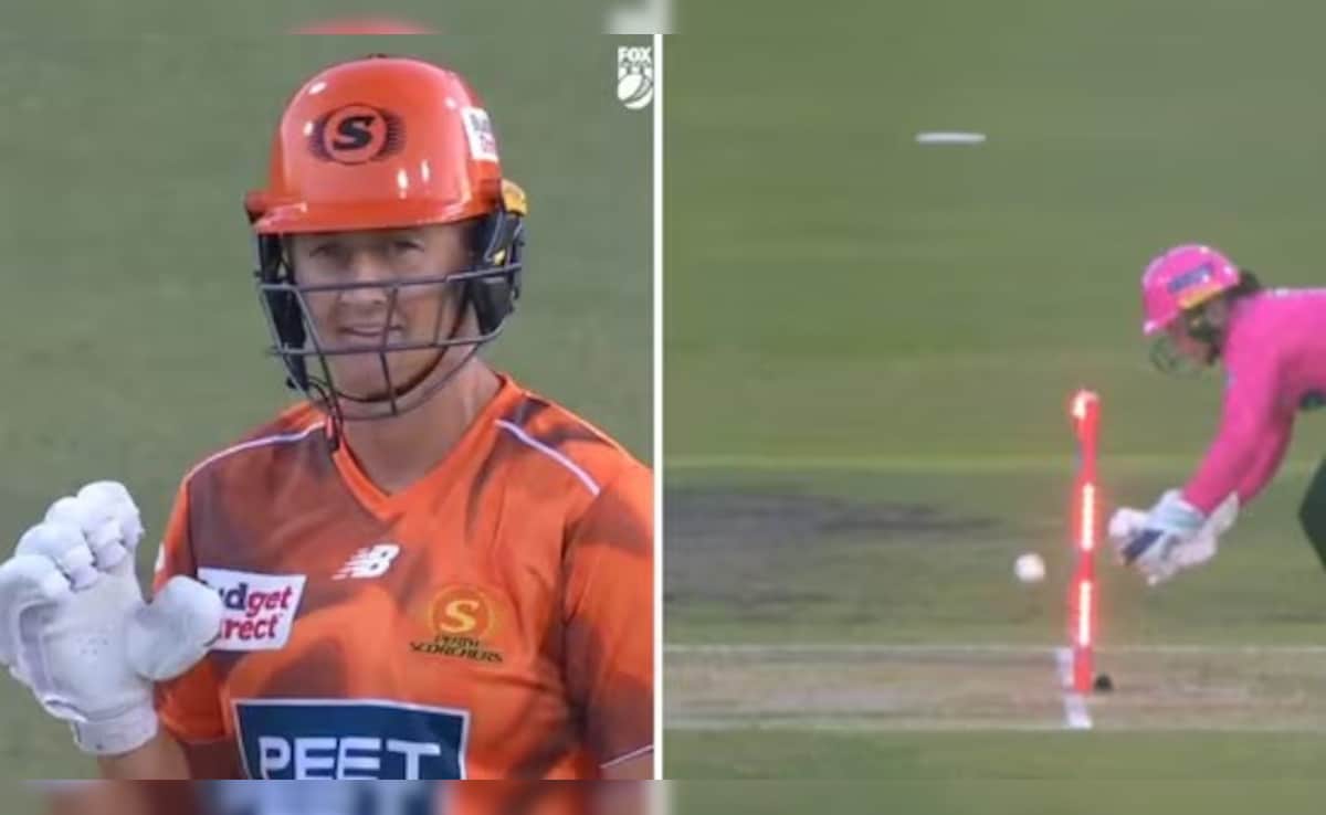 Sophie Devine Left Stunned By Bizarre Stumping Dismissal - Video Goes Viral