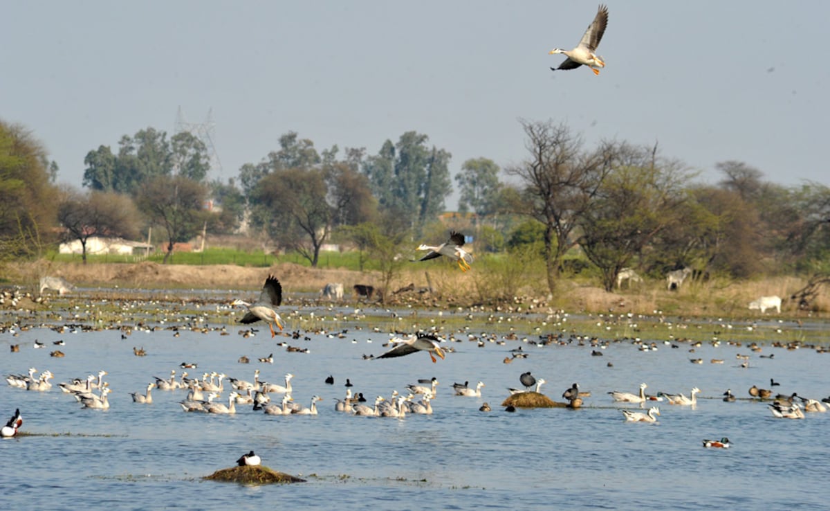 Latest and Breaking News on NDTV Latest and Breaking News on NDTV