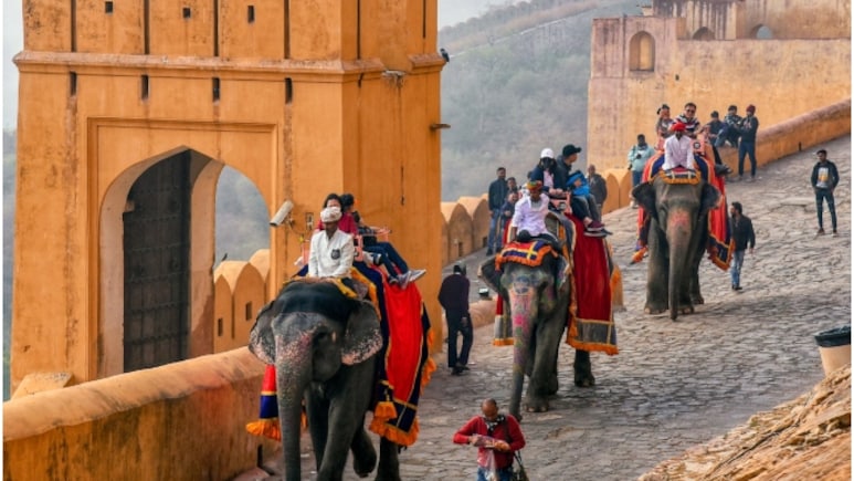 आमेर महल में हाथी सवारी आज बंद, लाइट एंड साउंड शो रद्द, 1:30 बजे के बाद नहीं होगी एंट्री, जानें क्या है वजह?