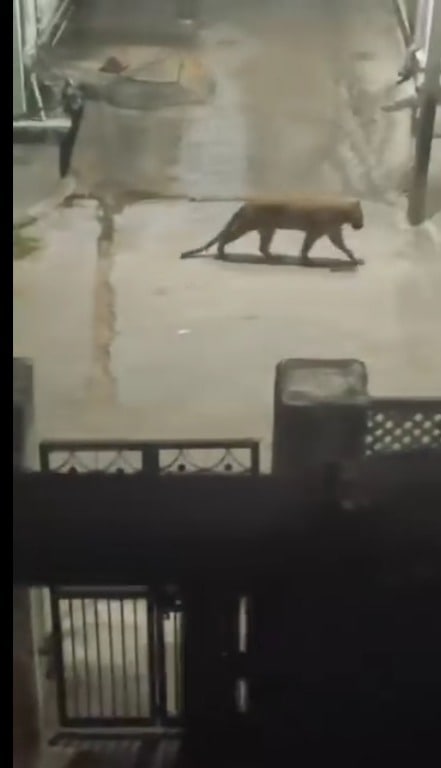 Latest and Breaking News on NDTV Latest and Breaking News on NDTV