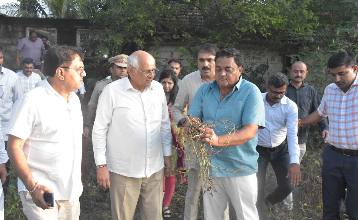 बेमौसम बारिश से गुजरात के 16 हजार गांवों में फसलों को नुकसान, CM भूपेंद्र पटेल ने प्रभावित गांवों का किया दौरा