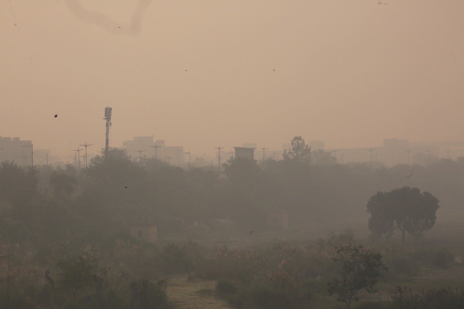 Thick Haze Blankets Delhi As Air Remains "Very Poor", Many Areas In "Red"