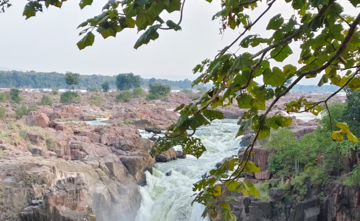 Latest and Breaking News on NDTV Latest and Breaking News on NDTV