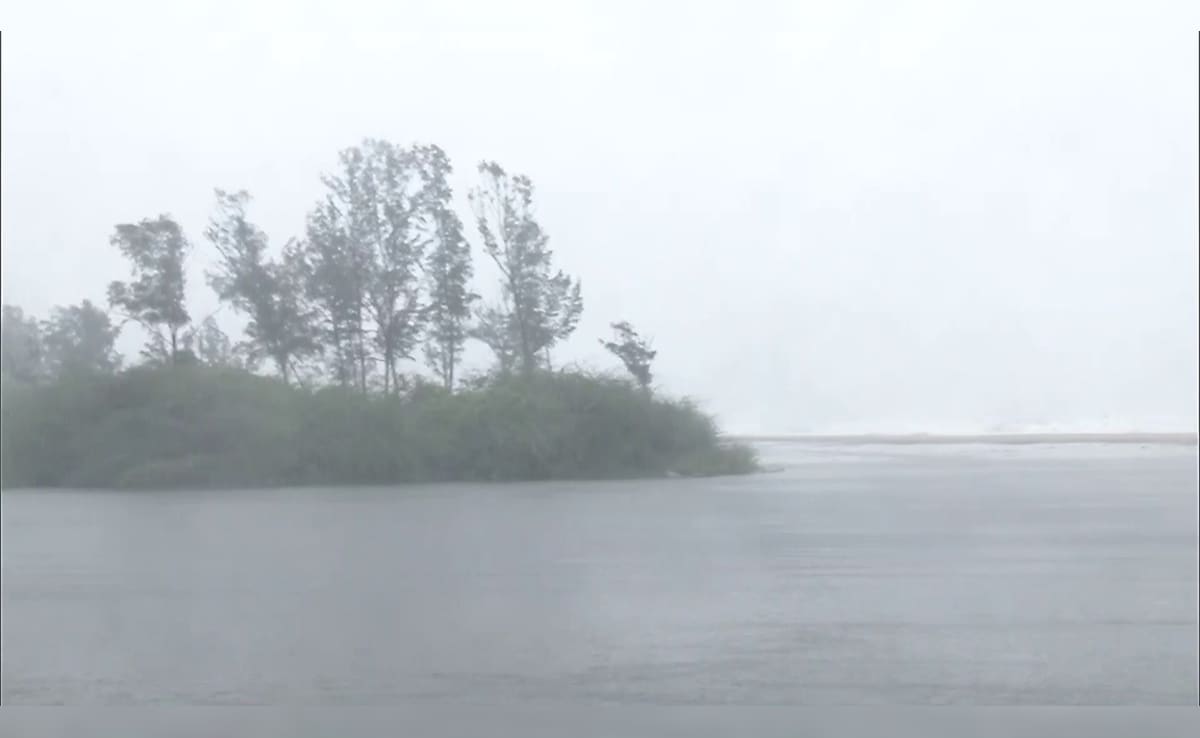 Latest and Breaking News on NDTV Latest and Breaking News on NDTV