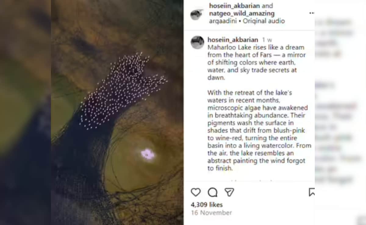 Latest and Breaking News on NDTV