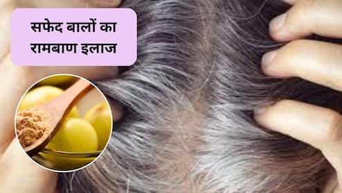 Amla Powder For White Hair: आंवला पाउडर के साथ ये 2 चीजें मिलाकर सिर में लगाएं, सफेद बालों को कहें अलविदा
