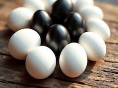 काला अंडा या सफेद अंडा किसमें है ज्यादा प्रोटीन, जानें एक दिन में कितना Egg खाएं